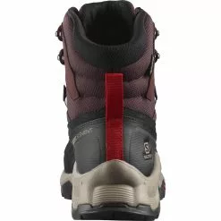 Salomon Quest Element GTX Hiking Boot Men's -Salomon Store CHPLMABRGOBE D2
