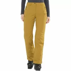 Salomon Brilliant Pant Women's