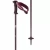 Salomon Angel S3 Ski Poles Women's