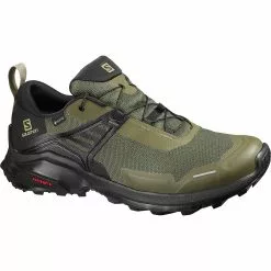 Salomon X Raise GTX Hiking Shoe Men's